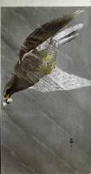 An eagle diving for its prey, 1910